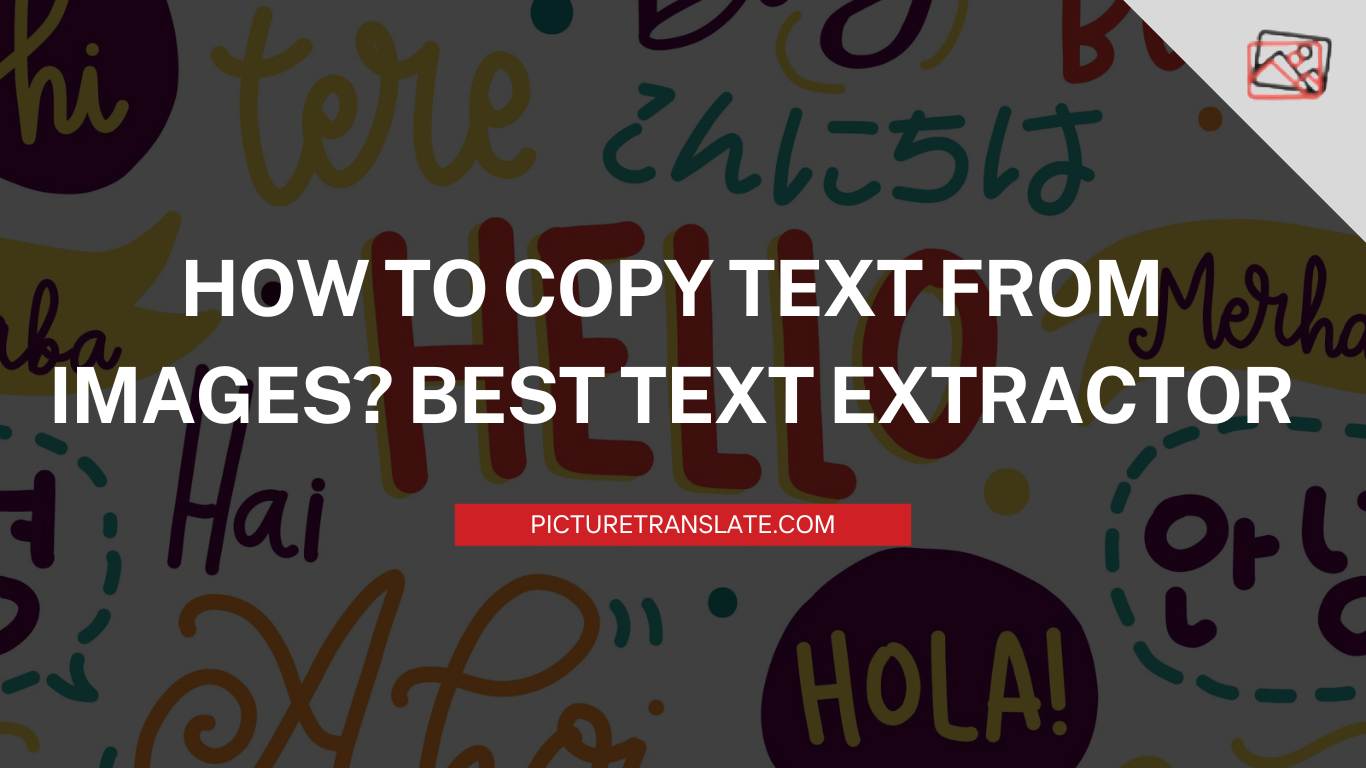 How to Copy Text from Images Best Text Extractor